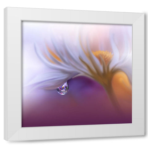 Lost In Time.. White Modern Wood Framed Art Print by Nan, Juliana