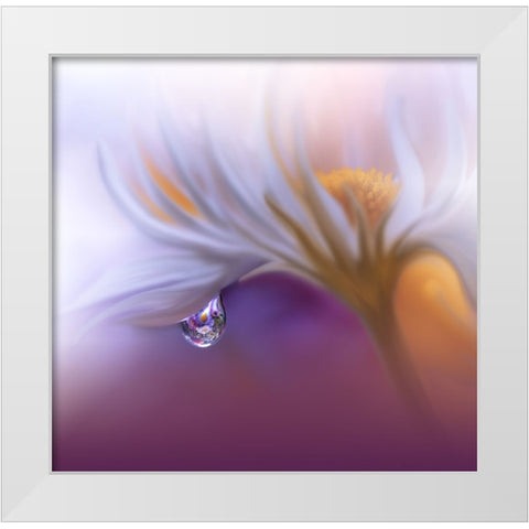 Lost In Time.. White Modern Wood Framed Art Print by Nan, Juliana