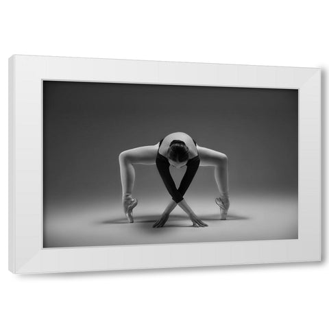 Elegant White Modern Wood Framed Art Print by Li, Rob