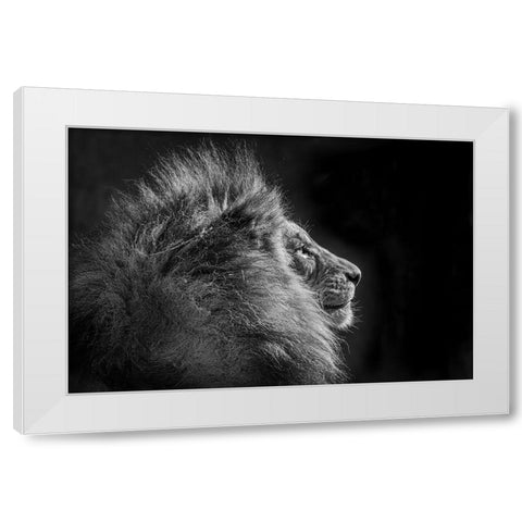 Simba In Monochrome White Modern Wood Framed Art Print by C. Sink, Jeffrey