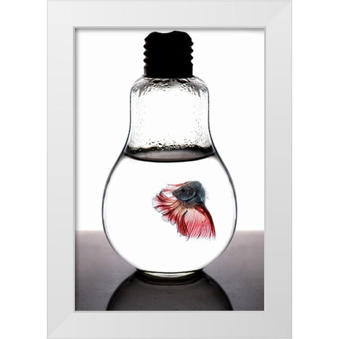 Betta Fish Red White Modern Wood Framed Art Print by Nasution, Girdan