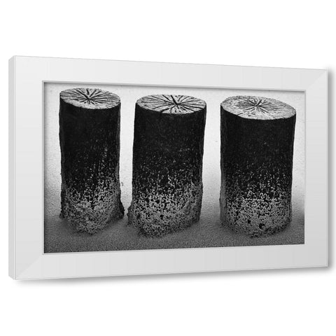 Wooden Wave Breaker White Modern Wood Framed Art Print by Ebert, Steffen