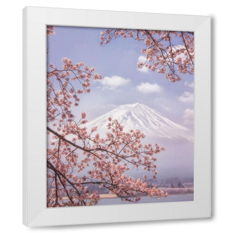 Mt.Fuji In The Cherry Blossoms White Modern Wood Framed Art Print by Samejima, Makiko