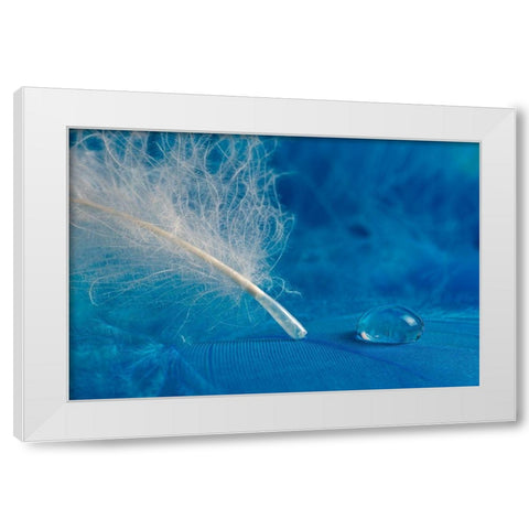 Drop White Modern Wood Framed Art Print by Pavlasek, Tom