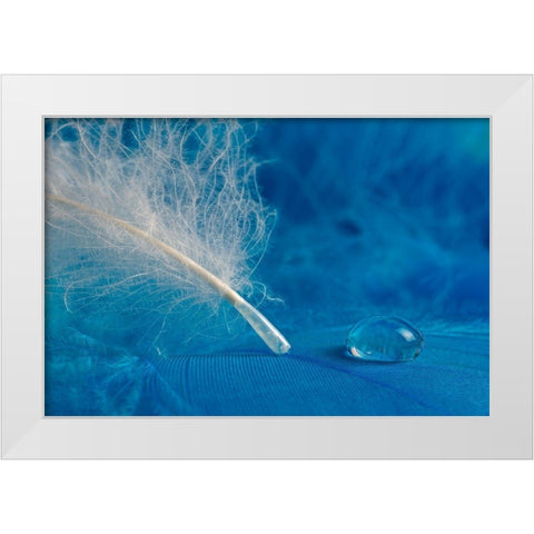Drop White Modern Wood Framed Art Print by Pavlasek, Tom