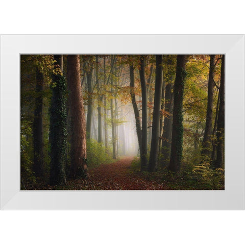 Autumn Colorful Forest White Modern Wood Framed Art Print by Ye