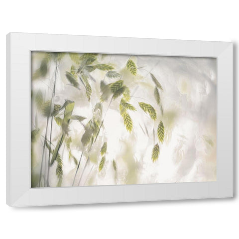 Grass Blades White Modern Wood Framed Art Print by Talen, Nel