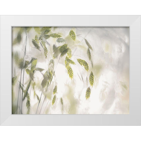 Grass Blades White Modern Wood Framed Art Print by Talen, Nel