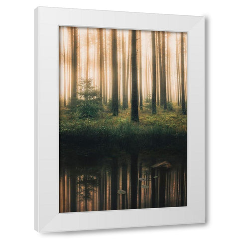 Reflection In The Foggy Forest White Modern Wood Framed Art Print by Lindsten, Christian