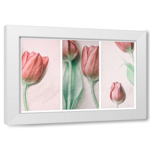 Red Elegance White Modern Wood Framed Art Print by Devos, Delphine