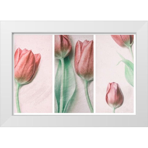 Red Elegance White Modern Wood Framed Art Print by Devos, Delphine