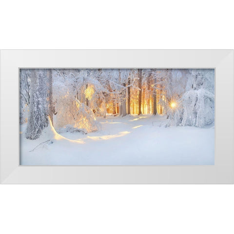 Bright Spots White Modern Wood Framed Art Print by Jochen, Burger