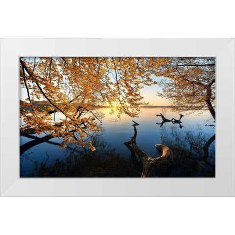 Autumn Morning White Modern Wood Framed Art Print by Keller
