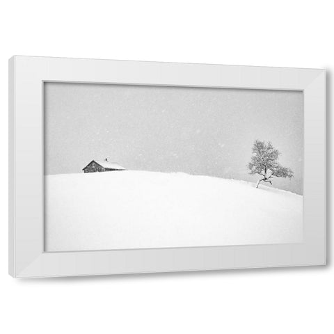 Ramsvikveien White Modern Wood Framed Art Print by Perdomo, Pablo