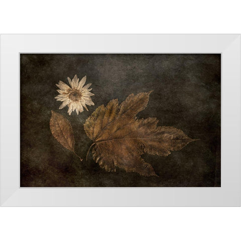 The Trio White Modern Wood Framed Art Print by Kiral, Cicek