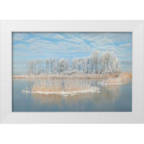 Winter White Modern Wood Framed Art Print by Haaksma, Piet