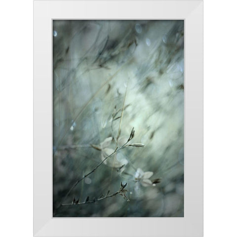 Subtlety White Modern Wood Framed Art Print by Devos, Delphine