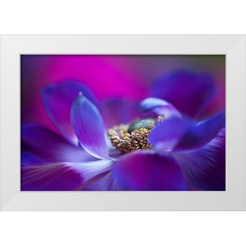 Windflower White Modern Wood Framed Art Print by Parker, Jacky
