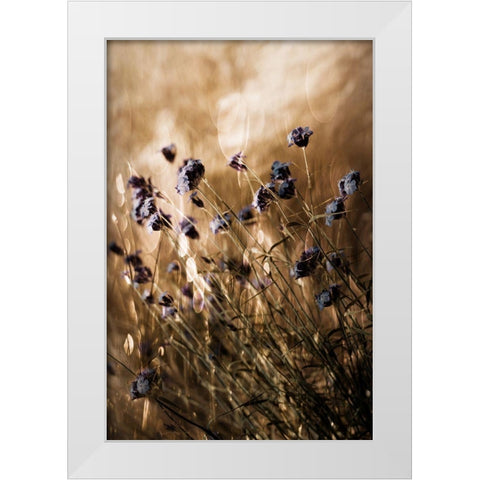 To Be Free In Light White Modern Wood Framed Art Print by Devos, Delphine