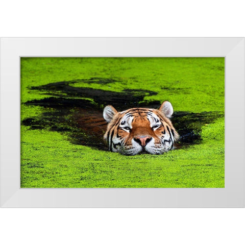 Untitled White Modern Wood Framed Art Print by Keller