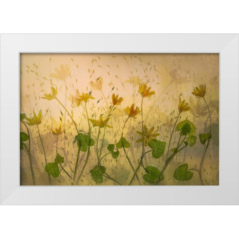 Sunny Flowers White Modern Wood Framed Art Print by Talen, Nel
