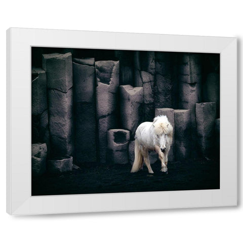 Icelandic Horse White Modern Wood Framed Art Print by Kort, Bragi
