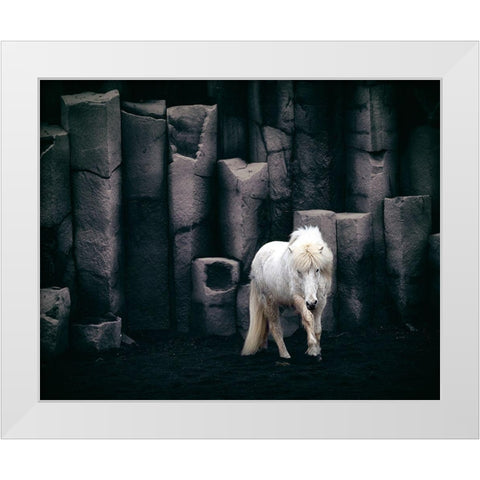 Icelandic Horse White Modern Wood Framed Art Print by Kort, Bragi
