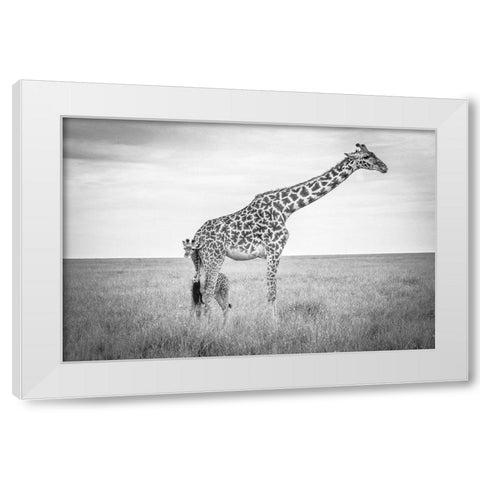 Innocence White Modern Wood Framed Art Print by C. Sink, Jeffrey