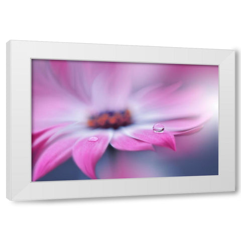 Untitled White Modern Wood Framed Art Print by Nan, Juliana