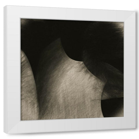 Roccia White Modern Wood Framed Art Print by Claes, Gilbert