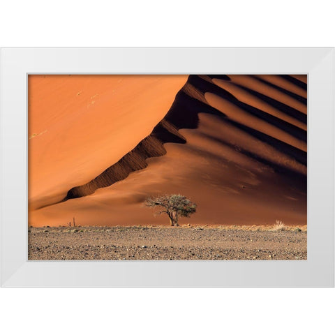 The Dune And The Tree White Modern Wood Framed Art Print by Ruoppolo, Luigi
