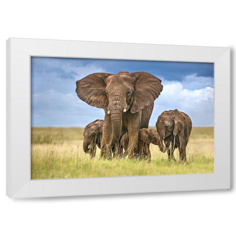 Elephant Mom Protecting Her Calves White Modern Wood Framed Art Print by Ortega, Xavier