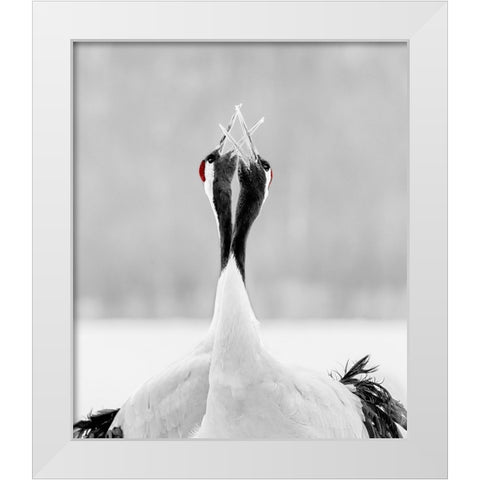 Sing For Morning White Modern Wood Framed Art Print by Fischer, Jie