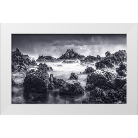 Rock White Modern Wood Framed Art Print by Seo, Tiger