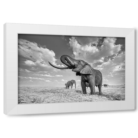 Elephant Drinking White Modern Wood Framed Art Print by Wang, Yun