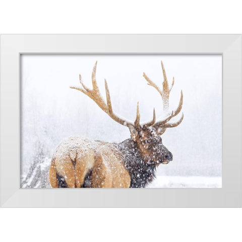 Winter White Modern Wood Framed Art Print by Liu, Richard