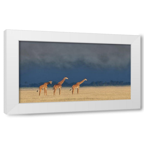 Raining And Sunset White Modern Wood Framed Art Print by Wang, Yun