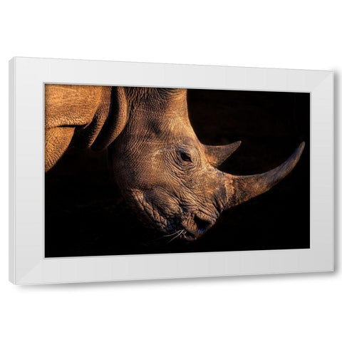 Rhinoceros White Modern Wood Framed Art Print by Fischer, Jie