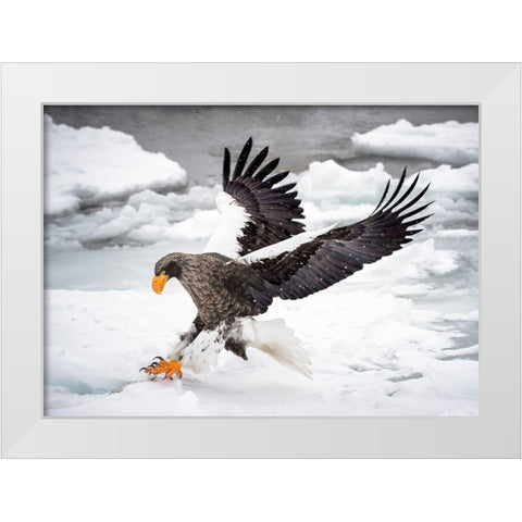 Still Want To Run? White Modern Wood Framed Art Print by Wong, Fion