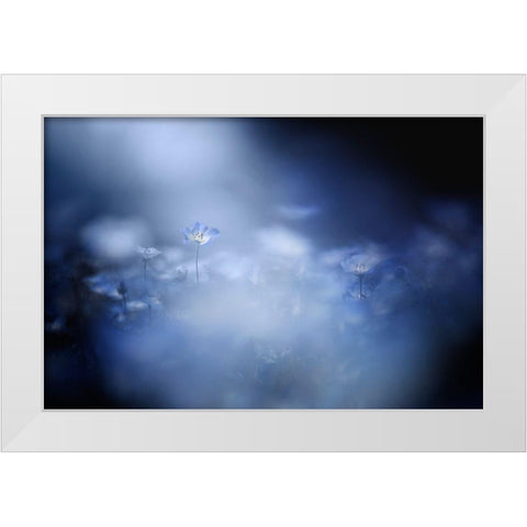 Gentle Light White Modern Wood Framed Art Print by Suzuki, Takashi