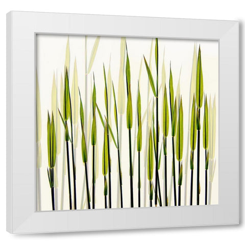 A New Beginning White Modern Wood Framed Art Print by Talen, Nel