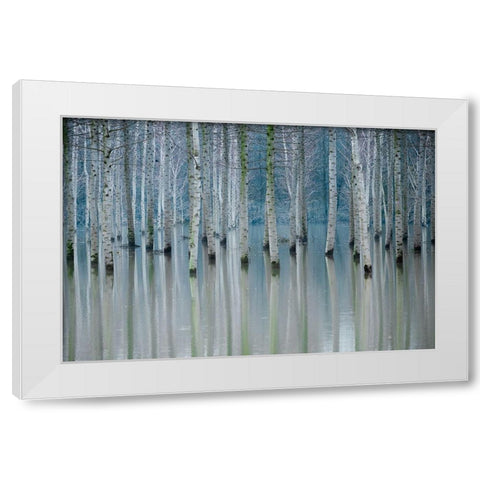 Enchanted Forest White Modern Wood Framed Art Print by Butnaru, Ralu
