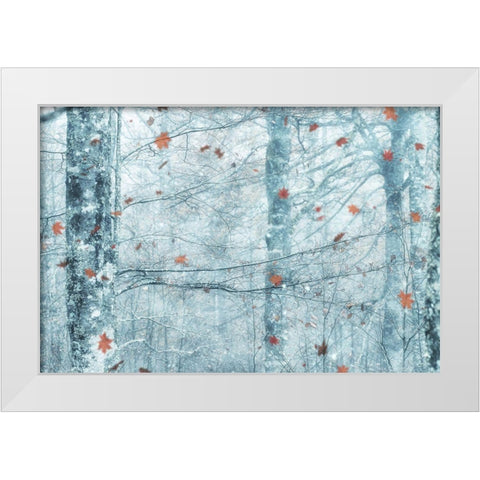 La Gran Ilusion White Modern Wood Framed Art Print by Gonzalez Herrera, Jorge