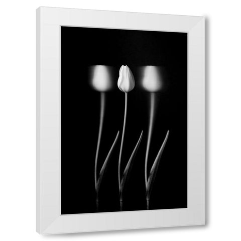 Tulips White Modern Wood Framed Art Print by Xu, Tony