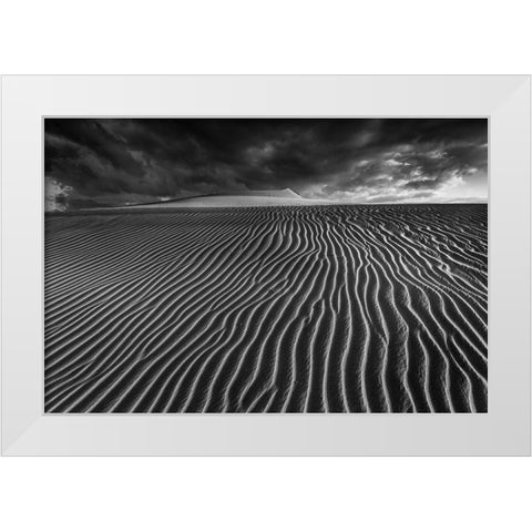 Lines Of Life.... White Modern Wood Framed Art Print by Pascual, Miguel