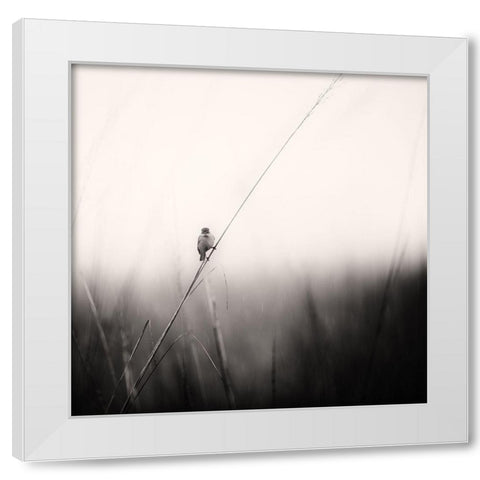 Monsoon Melodies White Modern Wood Framed Art Print by Swapnil