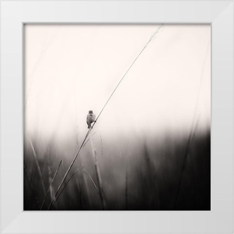 Monsoon Melodies White Modern Wood Framed Art Print by Swapnil