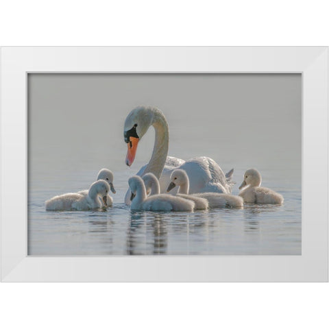 Mom Is The Whole World For Babies. White Modern Wood Framed Art Print by Tracy