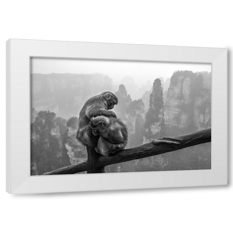 Look For Fleas White Modern Wood Framed Art Print by Song, Gunarto