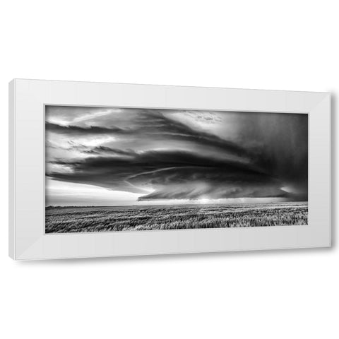 Kansas White Modern Wood Framed Art Print by Darby, Rob